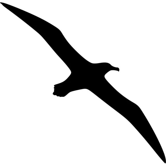 Albatross Silhouette
