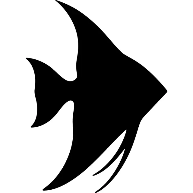 Angelfish Silhouette