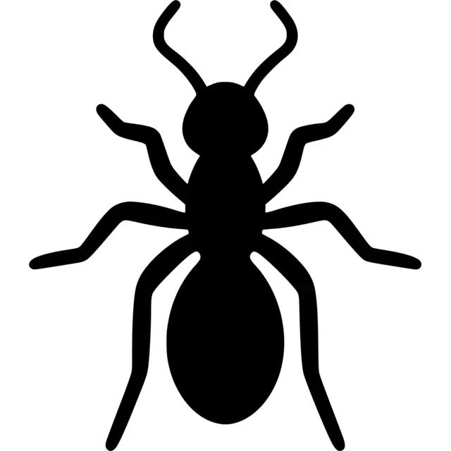 Ant Silhouette