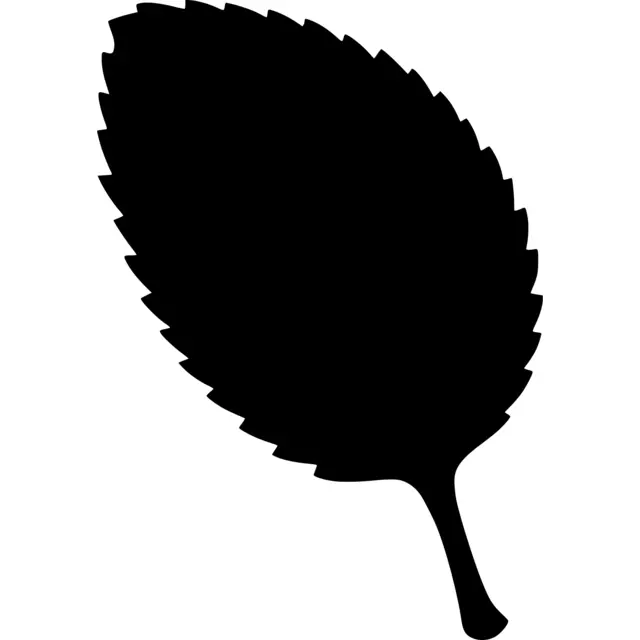Apple Leaf Silhouette
