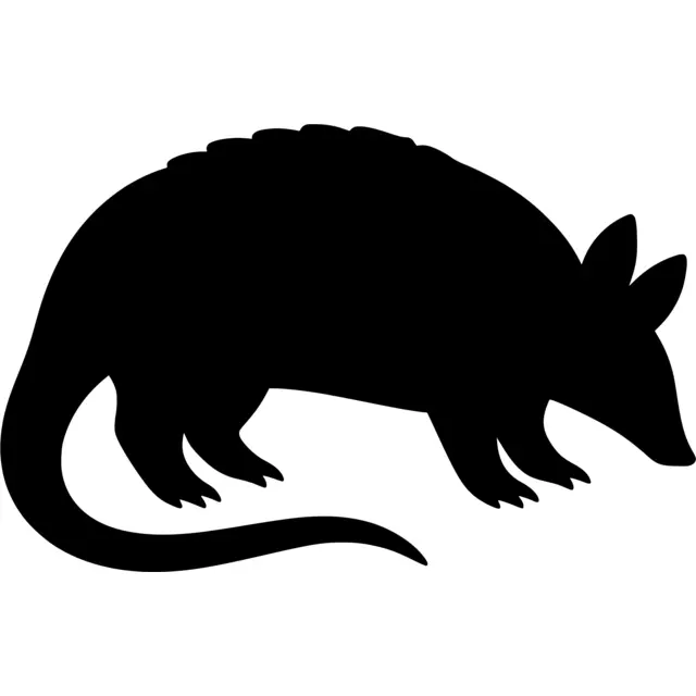 Armadillo Silhouette