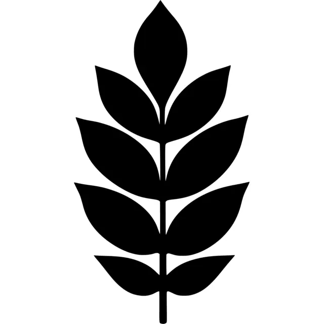 Ash Leaf Silhouette