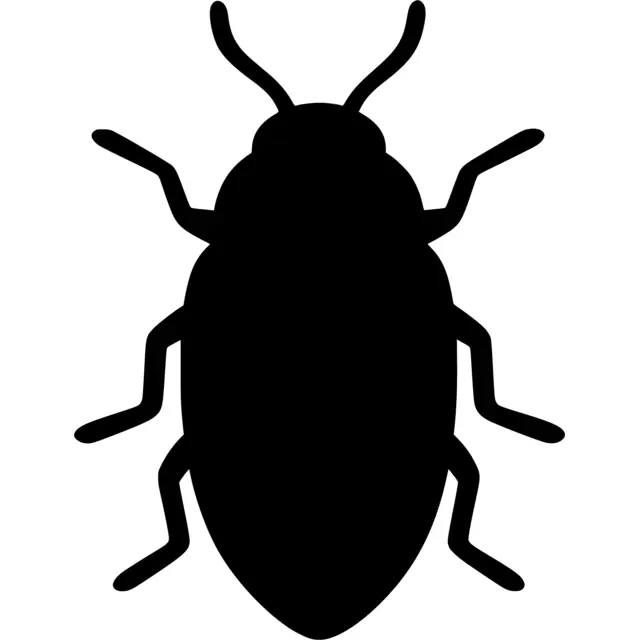 Beetle Silhouette