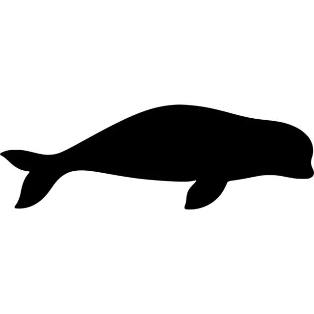 Beluga Whale Silhouette