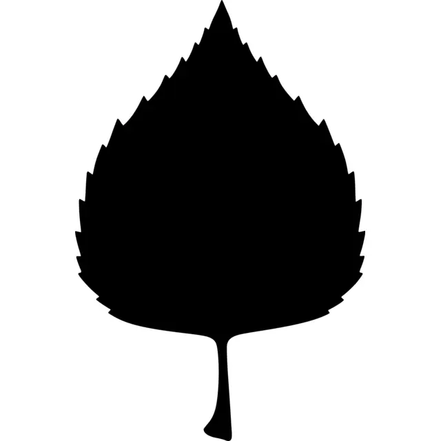Birch Leaf Silhouette