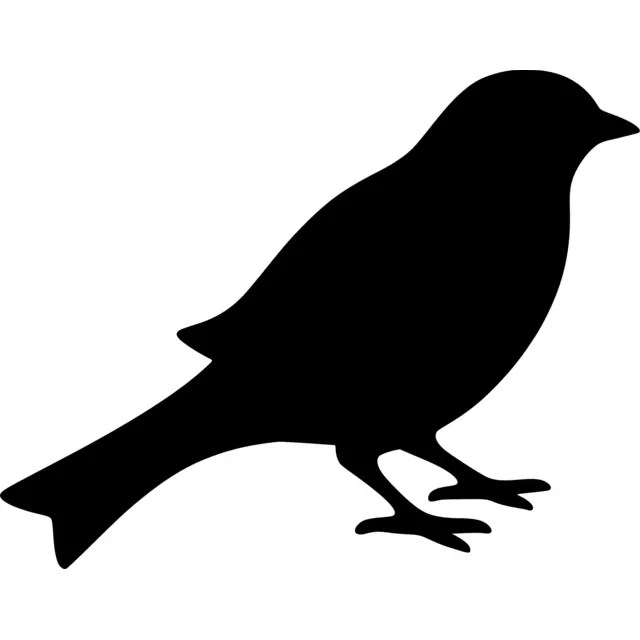 Bird Silhouette