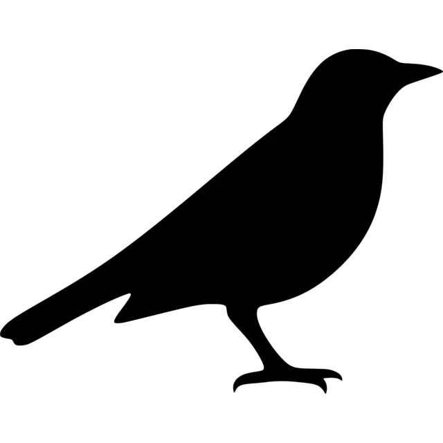 Blackbird Silhouette