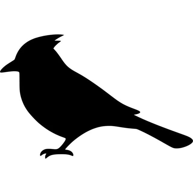 Blue Jay Silhouette