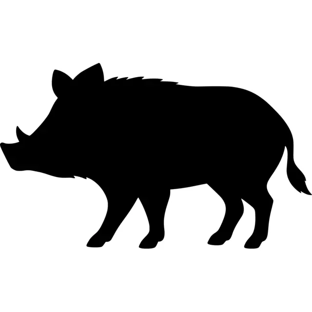 Boar Silhouette