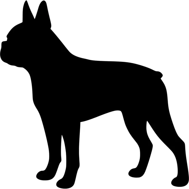 Boston Terrier Silhouette
