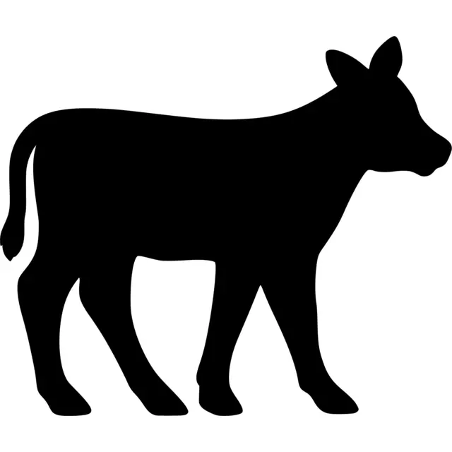 Calf Silhouette