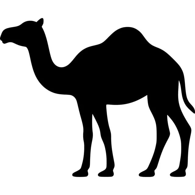Camel Silhouette