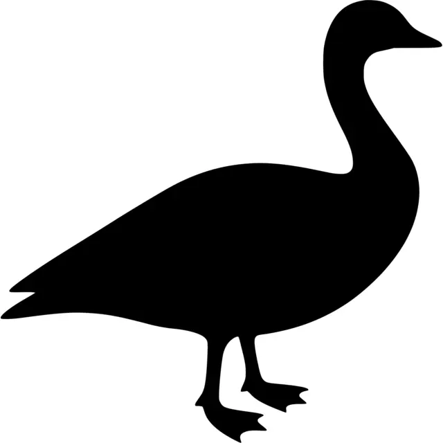 Canada Goose Silhouette