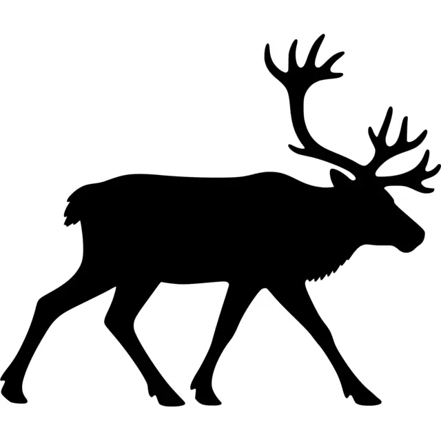 Caribou Silhouette