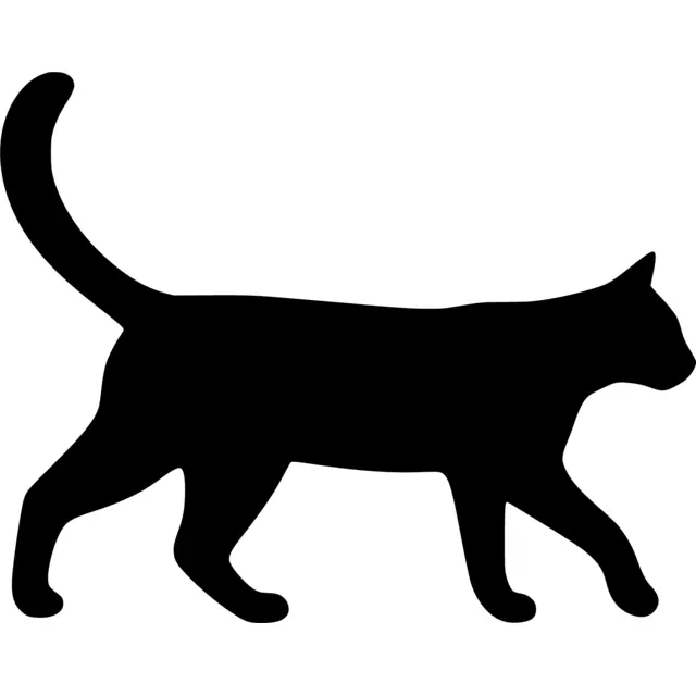 Cat Silhouette