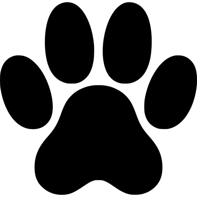 Cat Paw Print Silhouette