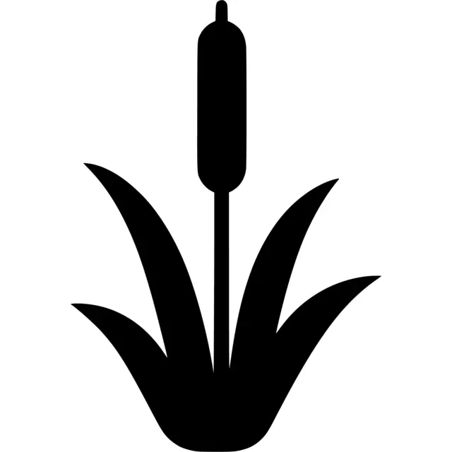 Cattail Silhouette