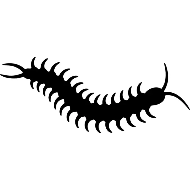 Centipede Silhouette