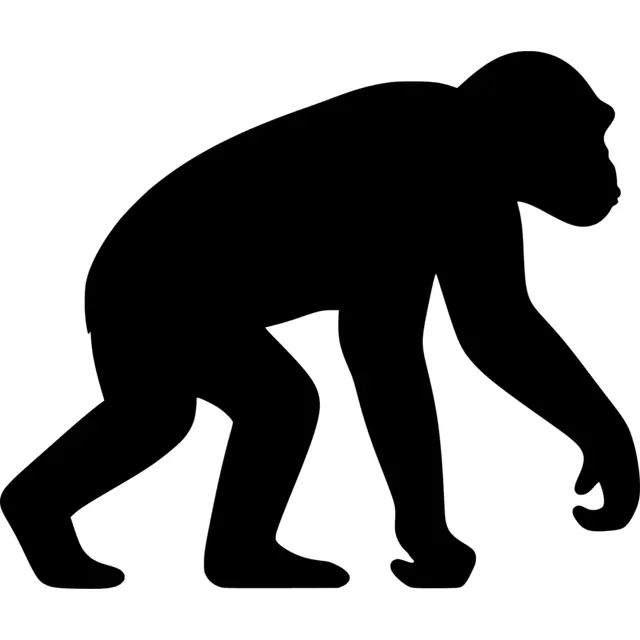 Chimpanzee Silhouette
