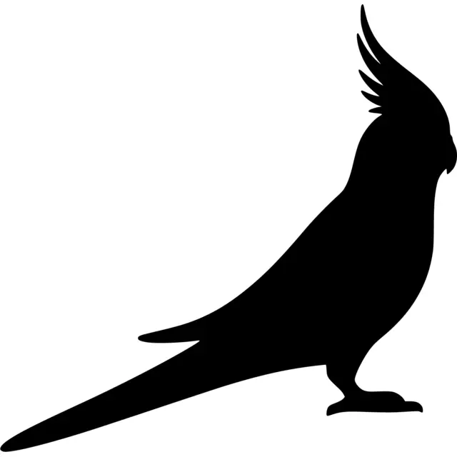 Cockatiel Silhouette