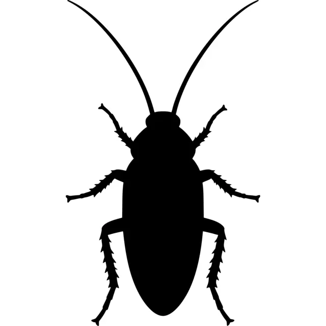 Cockroach Silhouette