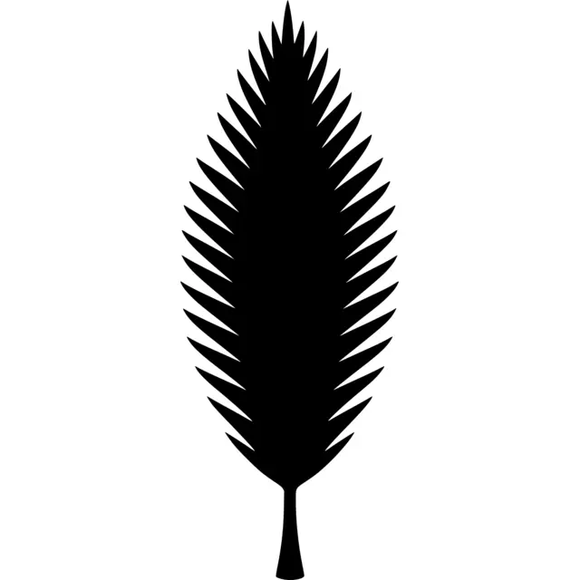 Coconut Tree Leaf Silhouette