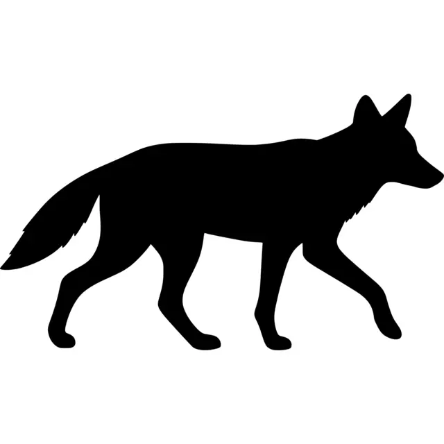 Coyote Silhouette