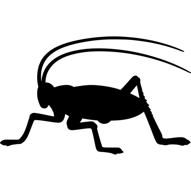 Cricket Silhouette