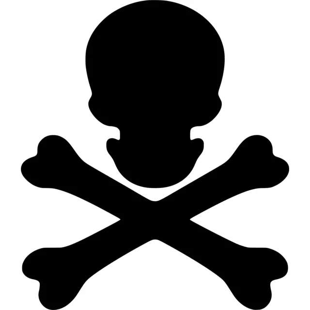 Crossbones Silhouette