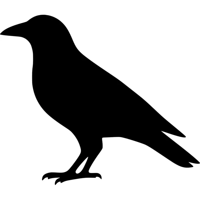 Crow Silhouette