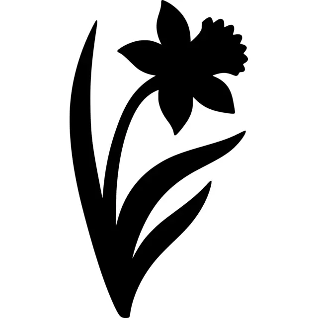 Daffodil Silhouette