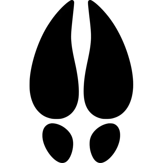Deer Hoof Print Silhouette