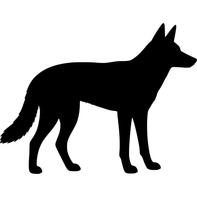 Dingo Silhouette