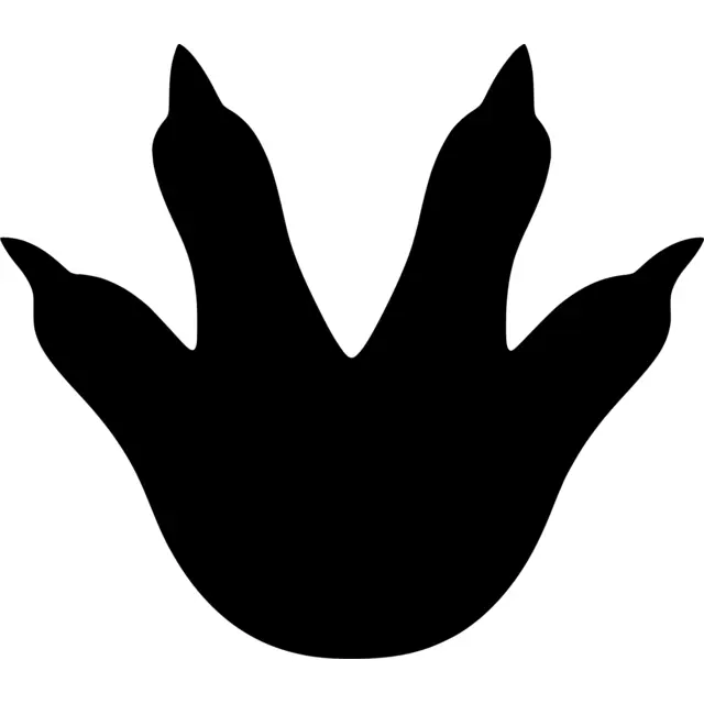 Dinosaur Footprints Silhouette