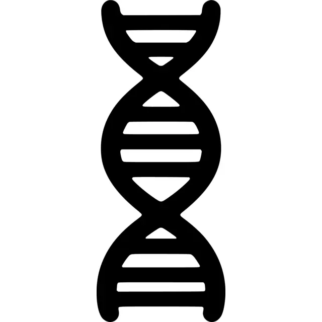 Dna Silhouette