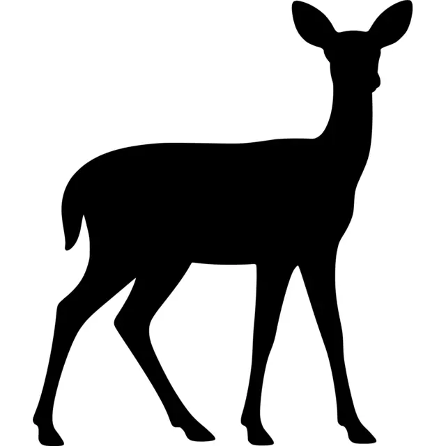 Doe Silhouette
