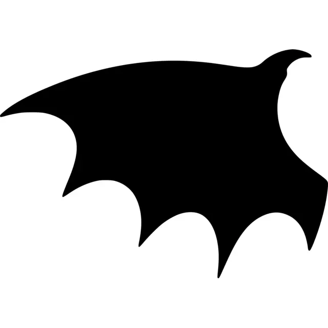 Dragon Wing Silhouette