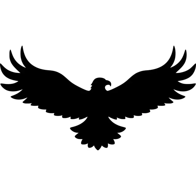 Eagle Silhouette