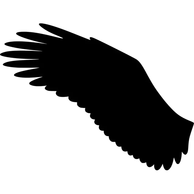 Eagle Wing Silhouette