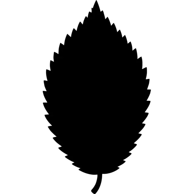 Elm Leaf Silhouette