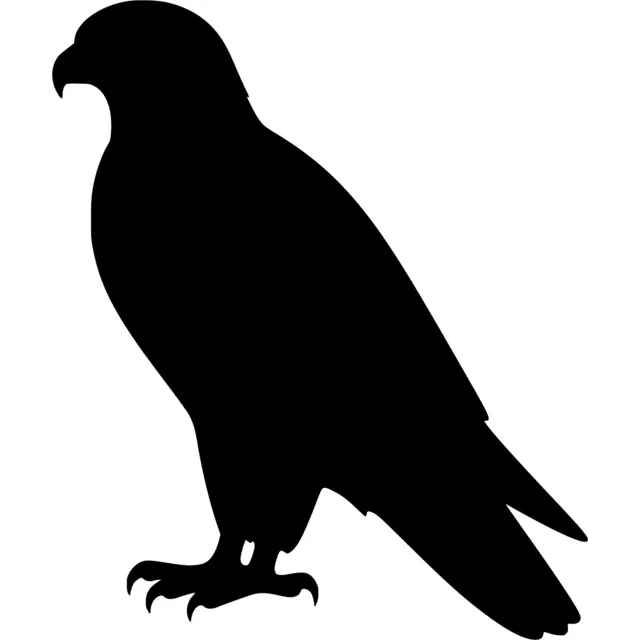 Falcon Silhouette