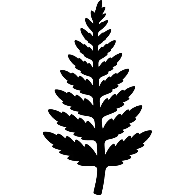 Fern Silhouette