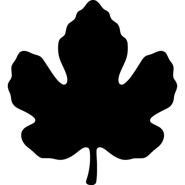 Fig Leaf Silhouette