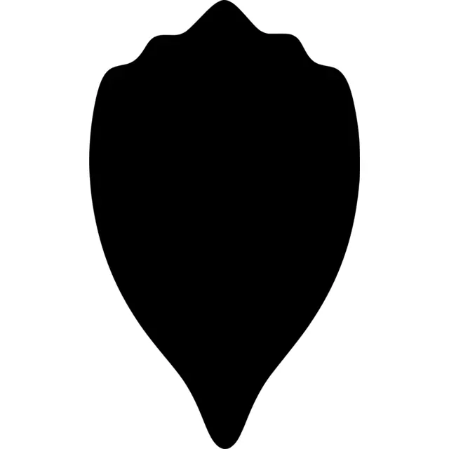 Flower Petal Silhouette