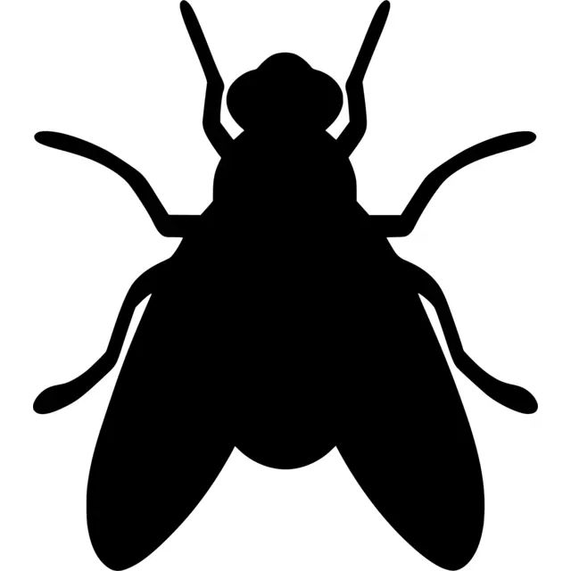 Fly Silhouette