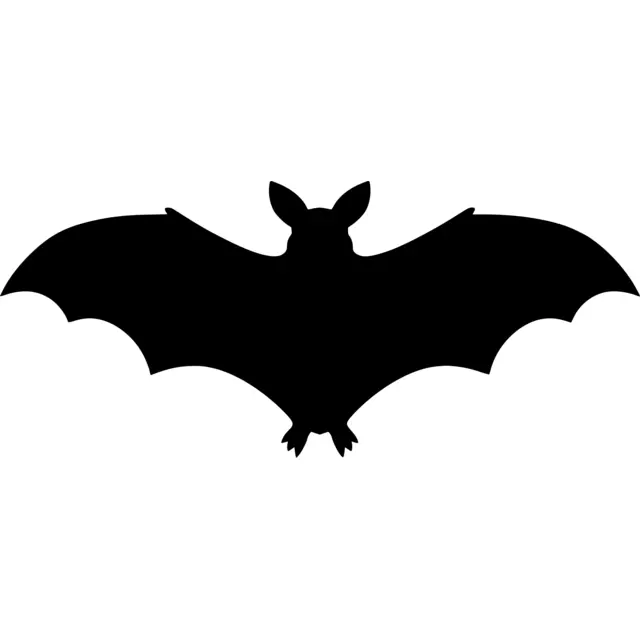 Flying Bat Silhouette