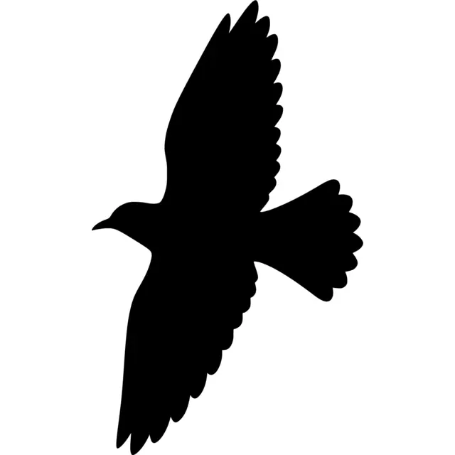 Flying Bird Silhouette