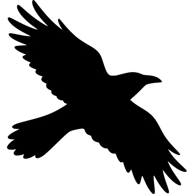 Flying Crow Silhouette