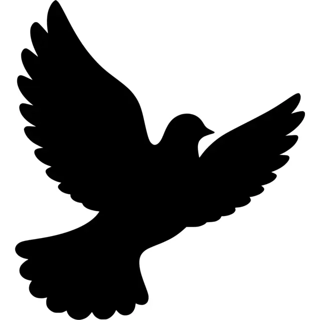 Flying Dove Silhouette