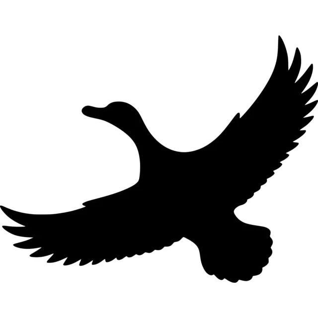 Flying Duck Silhouette